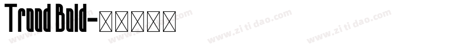 Trood Bold字体转换